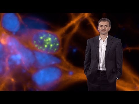 Bench to Bedside: Drug Discovery in Neuroscience - Ricardo Dolmetsch