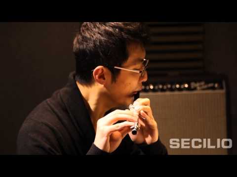 Professional Composite Wood Piccolo - Silver Plated of C Keys Split E