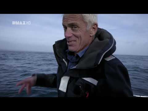 fluss monster 1080p HD Der Riemenfisch