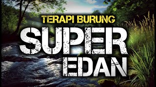 Download lagu Terapi air untuk semua jenis burung, gemericik air terapi burung, Terapi Burung macet TERBAIK mp3 Download lagu Terapi air untuk semua jenis burung, gemericik air terapi burung, Terapi Burung macet TERBAIK mp3