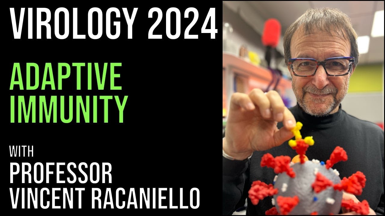 Virology Lectures 2024 #14: Adaptive defenses