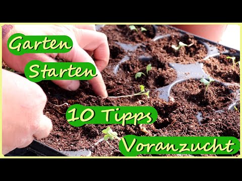 , title : 'Garten Starten - 10 Tipps Jungpflanzen Voranzucht'