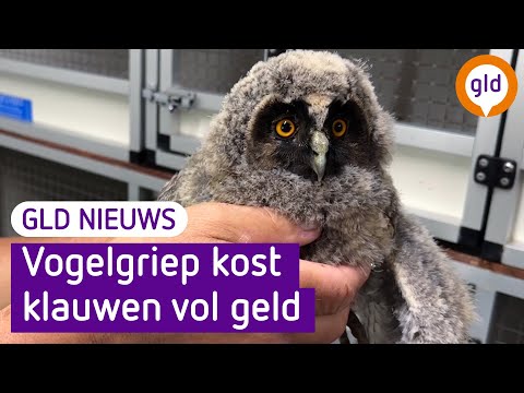 GLD Nieuws 16 juli 2023