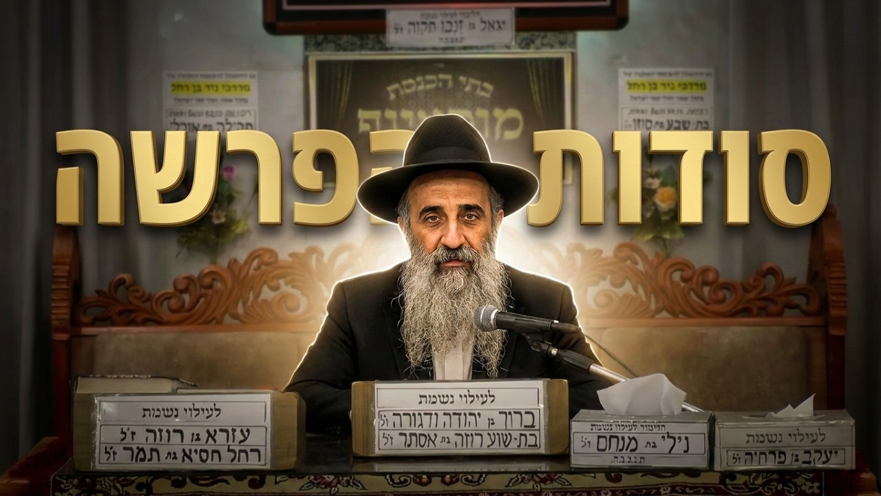 הרב  מאיר שמואלי   •  פרשת אמור תשפ'ו