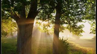 Nana Mouskouri - Morning has broken