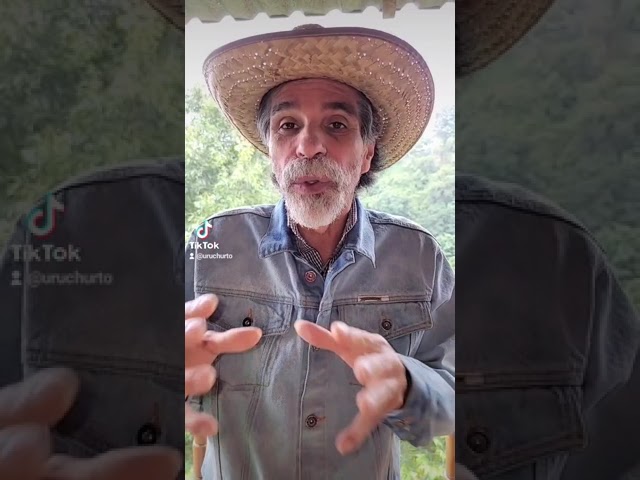 Vídeo relacionado con GAZIL Llavero de Cristal para Mujer, Amuleto de Buena Suerte con Piedra de Luna Natural, Regalo de Motivación para Nuevo Comienzo o Empleo, Piedras Sanadoras