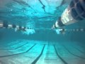 ISI Swim Dave MP4