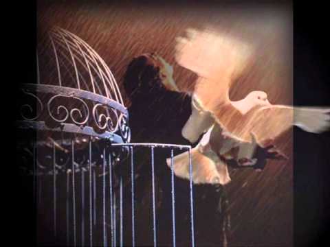 Maddeden Mânâya/Sait Başer