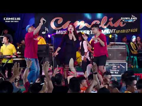 CAMELIA - AKU TAK BUTUH CINTA RIA ANDIKA - WEDDING ABDI & NAFISAH MLATIHARJO GAJAH DEMAK