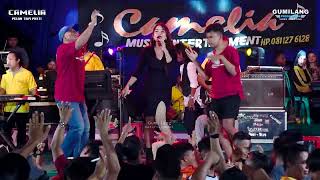 Download lagu CAMELIA - AKU TAK BUTUH CINTA RIA ANDIKA - WEDDING ABDI & NAFISAH MLATIHARJO GAJAH DEMAK mp3 Download lagu CAMELIA - AKU TAK BUTUH CINTA RIA ANDIKA - WEDDING ABDI & NAFISAH MLATIHARJO GAJAH DEMAK mp3