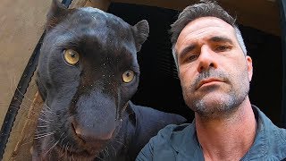 How To Move A Leopard | The Lion Whisperer video