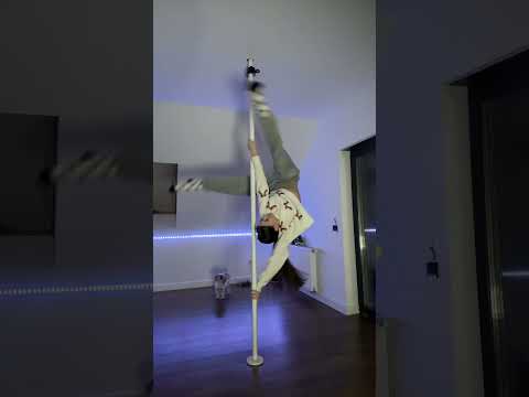 my dog ​​is in shock😆🫣#poledance #dance #pole #dancer