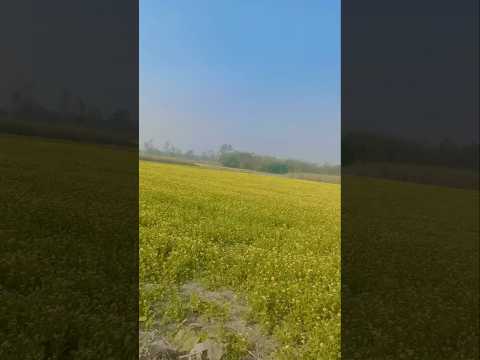 ghar kab aayege #music #india