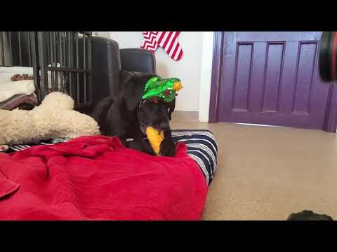 Behind the Scenes Holiday Photoshoot with Ragan!