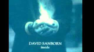 David Sanborn ft. Cassandra Wilson ~ Day Dreaming