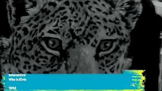 Interactive – Who Is Elvis