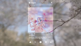 베가스 강좌 인스타그램 템플릿 무료 공유 / 베가스 14,15,16 /