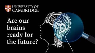 The 21st century brain