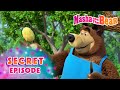 Masha And The Bear 2025 Secret Episode Best Episodes Cartoon Collection