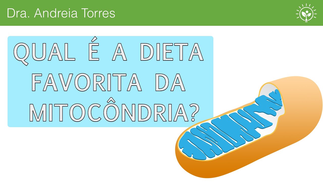 Compostos naturais melhoram a função mitocondrial