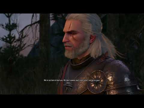 The Witcher 3 The Wild Hunt Gameplay walkthrough part #26 Get Drunk