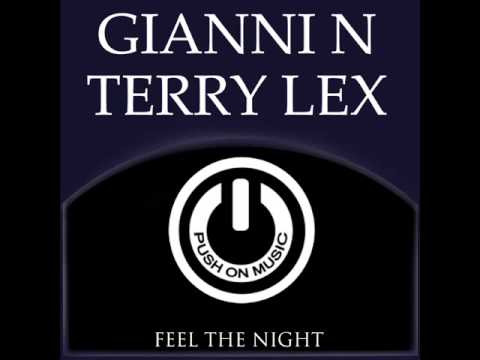 Gianni N & Terry Lex - Feel The Night(Original Mix)