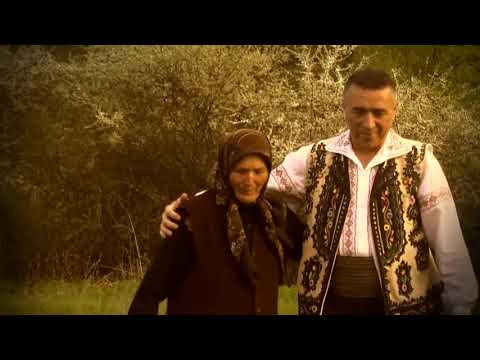 Nelu Bitina │Nicolae Botgros │Orchestra Lautarii de la Chisinau │Colaj melodii superbe 2019