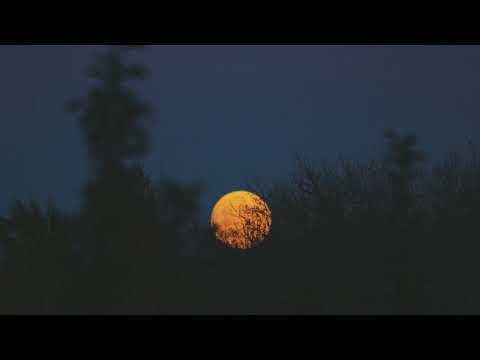 YELLOW MOON Neville karaoke lyrics