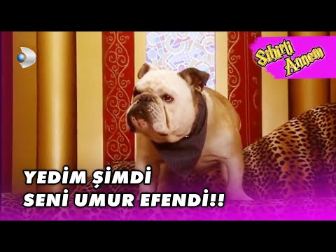 Taci, Umur'a SALDIRDI! - Sihirli Annem Özel Klip