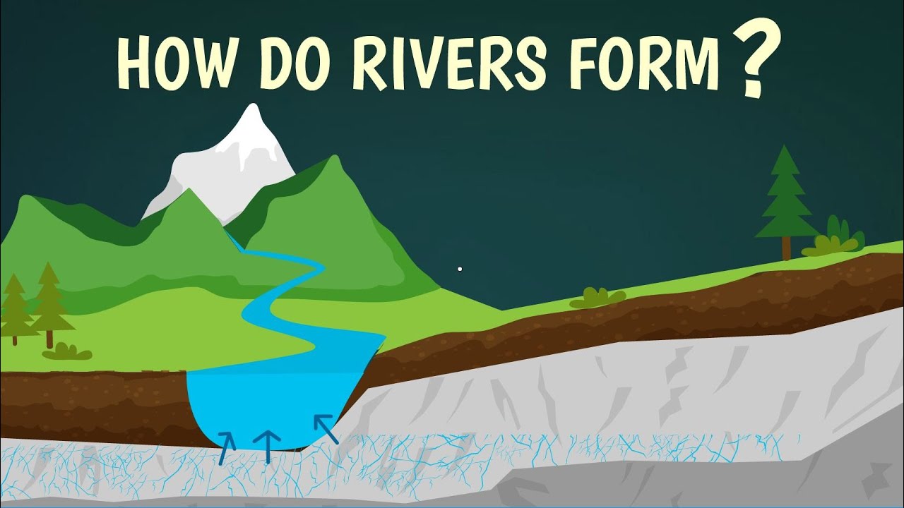 Where the river flows or ends is called?