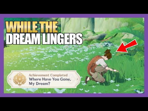 [Guide] While the Dream Lingers | World Quests & Puzzles | Genshin Impact 3.0