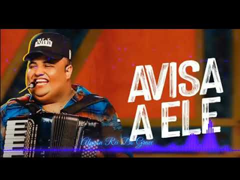 TARCÍSIO DO ACORDEON - AVISA A ELE《COM GRAVE》[ MÚSICA NOVA, REPERTÓRIO NOVO 2022 ]