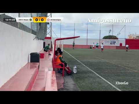 CD El Roque vs UD Hermigua 30/03/2025