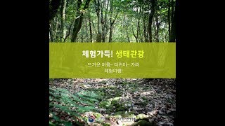 [카드뉴스] 체험가득! 생태관광