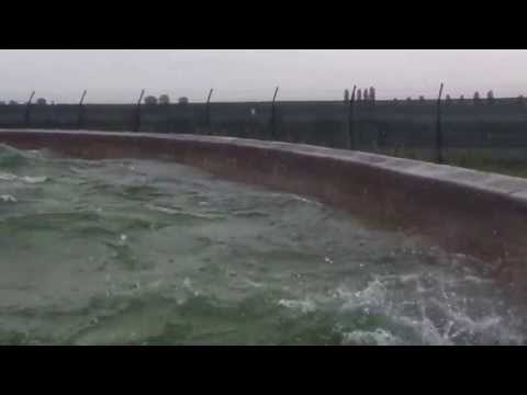 Divertical on the board