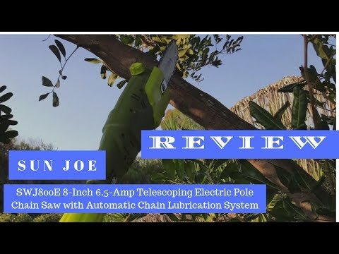 Review  Best Electric Pole Chain Saw - Sun Joe SWJ800E 8 Inch 6 5 Amp Telescoping