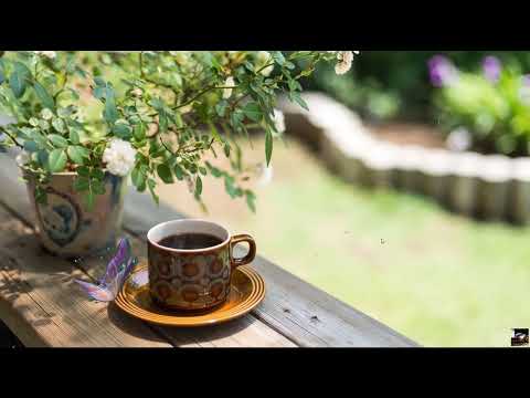 Slow Jazz: Jazz and Bossa Nova to relax, work, study, eat - Jazz music for good mood