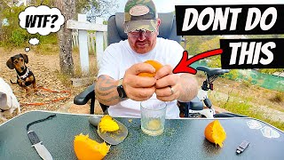 How NOT To Make Spanish Orange Juice
