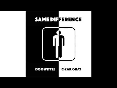 SAME DIFFERENCE (the album)