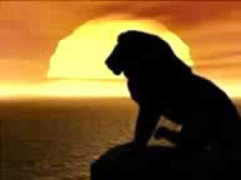 Anne Live! singt "Sie leben hier" aus "König der Löwen" a capella