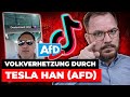 Volksverhetzung durch Tesla Han (AfD)