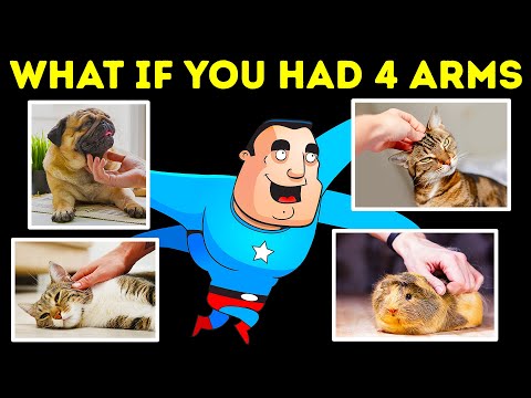 私たちは二本の腕の代わりに四本の腕を持っていたとしたら (What If We Had Four Arms Instead of Two)