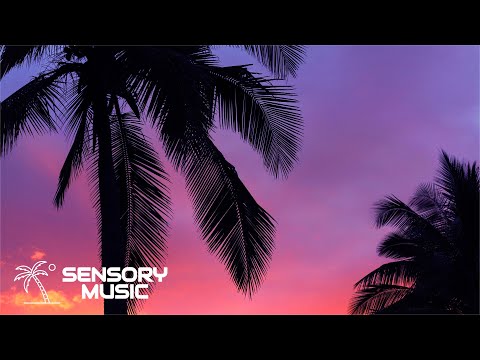 Danny Avila - Searchlight