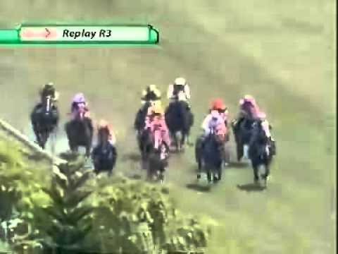 20110227 IPOH CLASS 5 1100M (STR) - SPEED LEOPARD (HK Cheng)