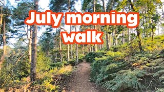 Early Morning Forest Walk - Virtual Scenery For Treadmill Workout - Walking Through English Woods