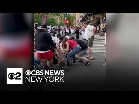 Vicious dog attack caught on camera is renewing calls for a change in NYC laws