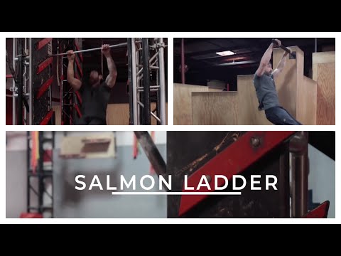 Salmon Ladder Tutorial