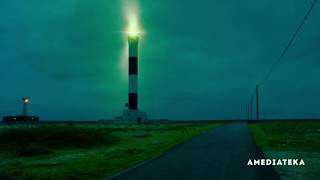 Electric Dreams | Bushemi