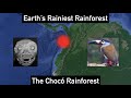 Earth S Rainiest Rainforest The Chocó Rainforest