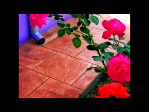 Beton Amprentat Almaşu Mic (Balc Tel.0761350488 Bihor,Austria,Ungaria,Serbia